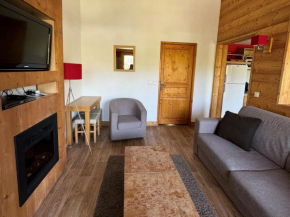 Appartement 3P, piscine chauffée, animaux admis, pieds des pistes - FR-1-181-2819